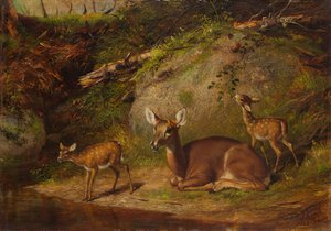 Cerva e due cerbiatti da Arthur Fitzwilliam Tait