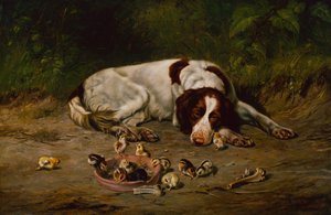 Bravo Cagnolino da Arthur Fitzwilliam Tait