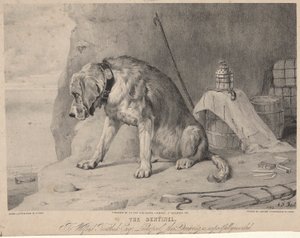 La Sentinella da Arthur Fitzwilliam Tait