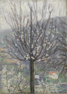 Fioritura, mattina presto da Arthur Haythorne Studd