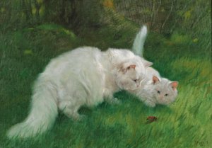 Arthur Heyer Interessante scoperta nel 1923 da Arthur Heyer
