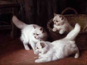 Tre gattini d