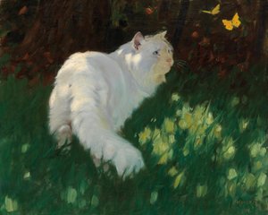 Gatto bianco e farfalle