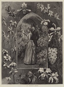 Una mostra di orchidee