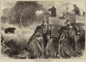 Il Principe di Galles nel Terai, caccia a un Orso
