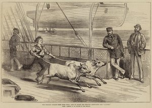 Il viaggio di ritorno del Principe dall