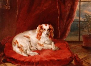 Un Cavalier King Charles Spaniel sdraiato su un cuscino rosso da Arthur J. Stark