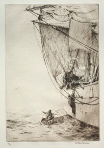 Il pilota