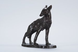 Coyote allerta (bronzo)