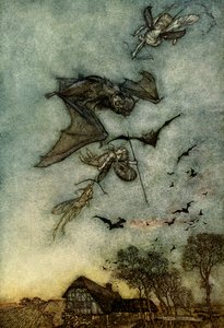 Sogno di una notte di mezza estate