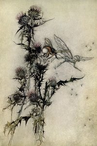 Sogno di una notte di mezza estate da Arthur Rackham