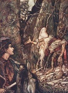 Buon nano, non puoi dirmi dove sono i miei fratelli? da Le fiabe dei fratelli Grimm, pub. 1909 da Arthur Rackham