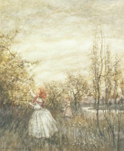 Caprifoglio, 1905