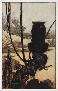 Illustrazione di un gatto nero da Jorinda e Joringel da Arthur Rackham