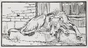 Illustrazione di un cane da Il vecchio sultano da Arthur Rackham