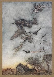 Alcuni combattono con i pipistrelli per le loro ali di cuoio. Una scena da 