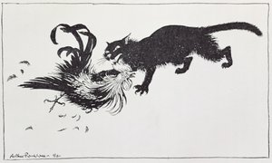 Il gatto e il gallo, illustrazione da 