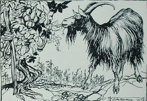La capra e la vite, illustrazione dalle 