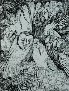 Il Gufo e gli Uccelli, illustrazione da 