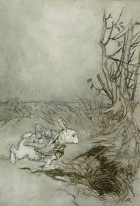Il Coniglio Bianco, illustrazione da 