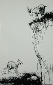 Il lupo e la capra, illustrazione da 