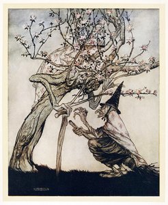 Albero mio! Oh albero mio! Hai visto la mia piccola monella?, da Fiabe inglesi, pub. 1922 da Arthur Rackham