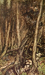 Undine di Friedrich de la Motte Fouqué da Arthur Rackham