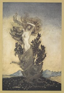 ... come Dafne, legata alle radici, che fuggì Apollo da Arthur Rackham
