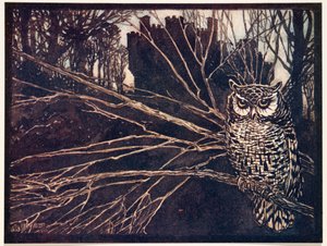 o un gufo urlante, da Le fiabe dei fratelli Grimm, pub. 1909 da Arthur Rackham