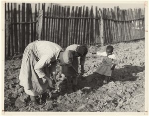 Al lavoro nel giardino, Gee