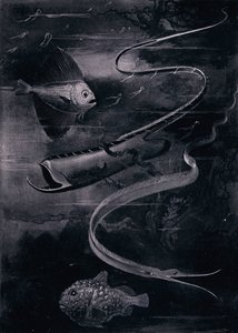 Pesci di profondità (litografia) da Arthur Twidle