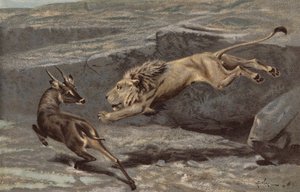 Un Attacco Notturno da Arthur Wardle