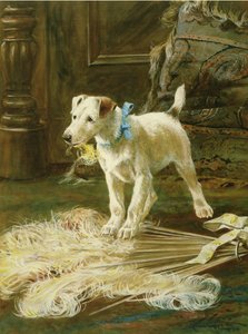 Birichino da Arthur Wardle