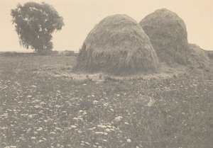 Covoni di fieno, Ipswich