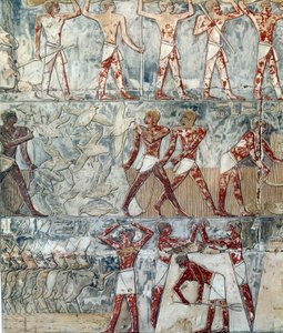 Arte Egitto: scena agricola, VI dinastia