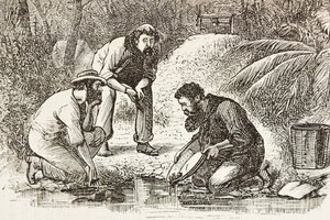 Australia (1880). La vita dei cercatori d