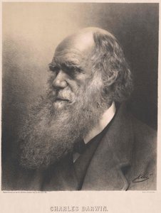Charles Darwin da Artist Unknown