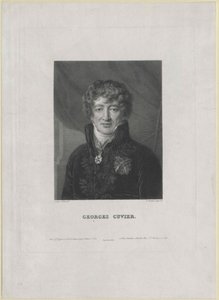 Georg Cuvier (stampa) da Artist Unknown