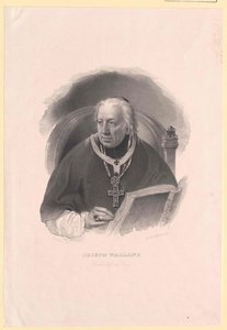 Giuseppe Walland