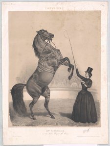 Vissuto intorno al 1860 Tourniaire