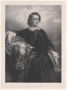 Rosa bonheur