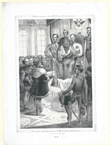 I deputati ungheresi davanti a S.M. l