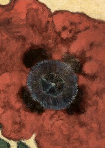 Artur Nikodem Poppy Flower da Artur Nikodem