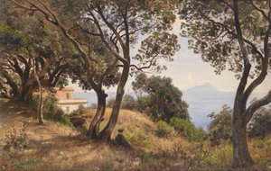 Ascan Lutteroth vista sud 1889