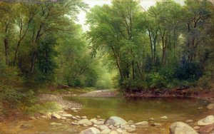 Un ruscello dei Catskill, 1867 da Asher Brown Durand