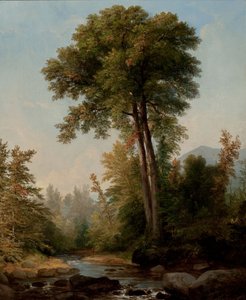 Un monarca naturale da Asher Brown Durand