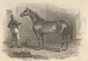 Eclissi americana