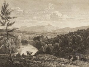 Monti Catskill