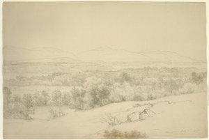 Paesaggio, Barrytown, New York, 1865