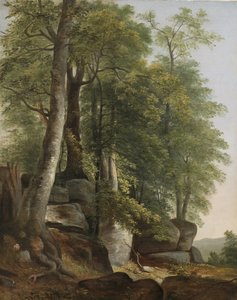 Paesaggio con rocce e alberi da Asher Brown Durand